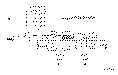 Sun-Hydraulics-CKCS-XCN