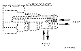 Sun-Hydraulics-FQBA-XAN
