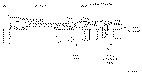 Sun-Hydraulics-MBDP-DJN