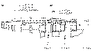 Sun-Hydraulics-CACG-LFN