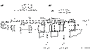 Sun-Hydraulics-CACK-LHN