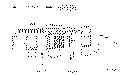 Sun-Hydraulics-CBBA-XPN