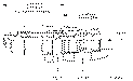 Sun-Hydraulics-CBDA-LAN/AP