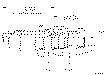Sun-Hydraulics-CBEG-LJN-BJY