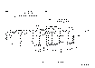 Sun-Hydraulics-CBEH-LKV