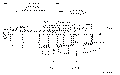 Sun-Hydraulics-CBEY-LHN-BBY/S