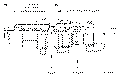 Sun-Hydraulics-CBFL-LDV