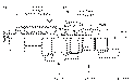 Sun-Hydraulics-CBGY-LHN