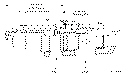 Sun-Hydraulics-CBHA-LBN