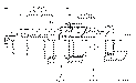 Sun-Hydraulics-CBHG-LDV