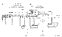 Sun-Hydraulics-CBIG-LKV