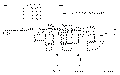 Sun-Hydraulics-CKCB-XCV/AP