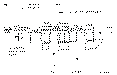 Sun-Hydraulics-CKCV-XCV