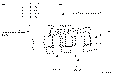 Sun-Hydraulics-CKEB-XCN-BBY/S