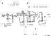 Sun-Hydraulics-CKEV-XDV