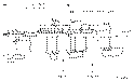 Sun-Hydraulics-CKGV-LAN