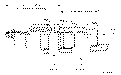 Sun-Hydraulics-CKIV-LBN
