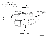 Sun-Hydraulics-CNAC-XAN