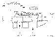 Sun-Hydraulics-COBA-XCV