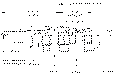 Sun-Hydraulics-CODB-LDV