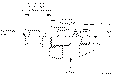 Sun-Hydraulics-CSAY-BXN