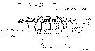 Sun-Hydraulics-CVCA-ICV
