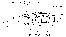 Sun-Hydraulics-CVEV-LBN