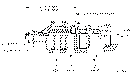 Sun-Hydraulics-CVIV-XCV