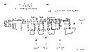 Sun-Hydraulics-CWCK-LIN