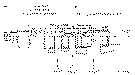 Sun-Hydraulics-CWEL-LGN