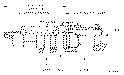 Sun-Hydraulics-CWIG-LGN