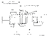 Sun-Hydraulics-CXHC-XAN