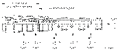 Sun-Hydraulics-DCCC-XAN