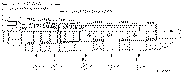 Sun-Hydraulics-DCCF-XAN