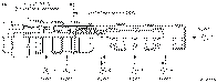 Sun-Hydraulics-DCDC-XBN