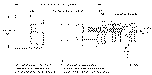 Sun-Hydraulics-DWDF-DAV-211