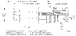 Sun-Hydraulics-DFFB-MHN