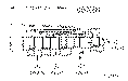 Sun-Hydraulics-DKDR-8HN