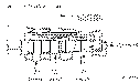 Sun-Hydraulics-DKDS-XHN