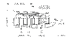 Sun-Hydraulics-DKFS-XHN