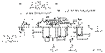 Sun-Hydraulics-DOHC-XHN