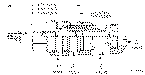 Sun-Hydraulics-DOJP-LWN