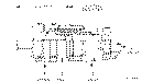 Sun-Hydraulics-DOJS-XHN