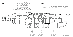 Sun-Hydraulics-DPBM-LBV