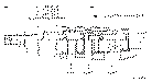 Sun-Hydraulics-DPCM-LWN