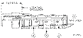 Sun-Hydraulics-DSEO-XCV