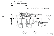 Sun-Hydraulics-DVCC-8FN