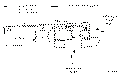 Sun-Hydraulics-FCCB-XAN