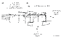 Sun-Hydraulics-FDCB-LAN-DBA