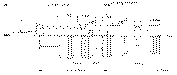 Sun-Hydraulics-FKHA-XCN